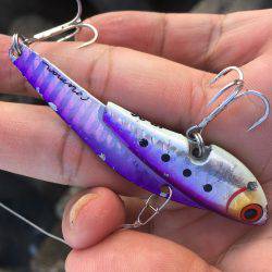 深日港でツバスげっと